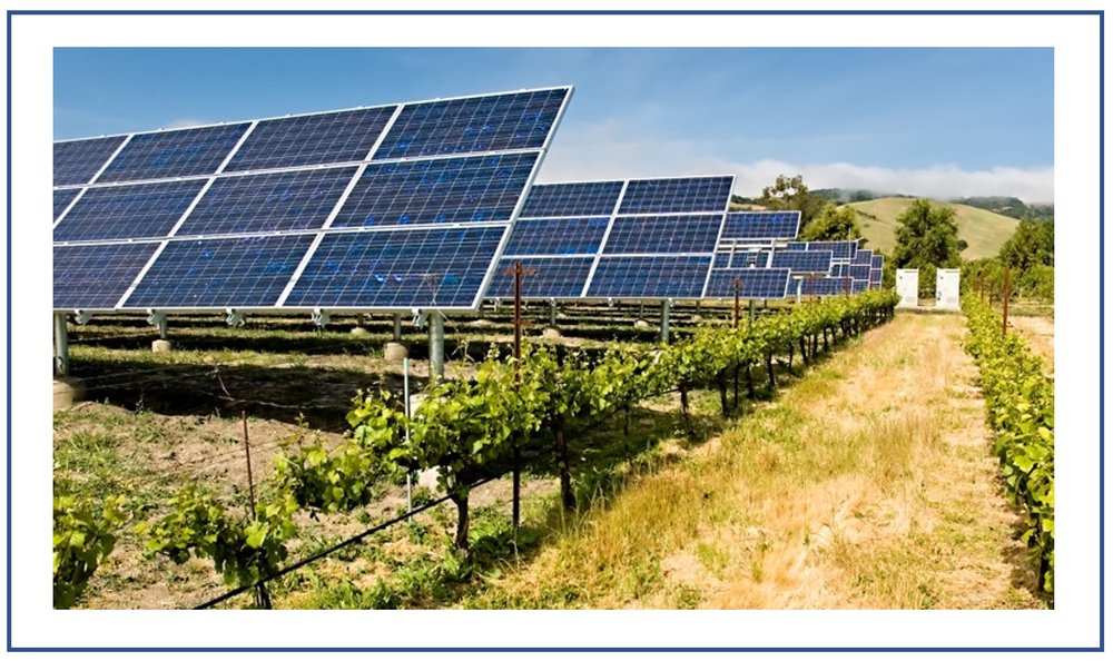 Agricultural solar panel installation in South California